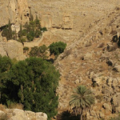 19 Nisan Filistin’deki Antik Mağaraların Aziz Yuhanna’sı