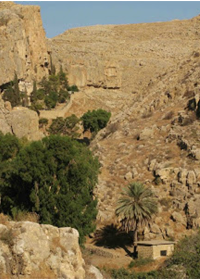 19 Nisan Filistin’deki Antik Mağaraların Aziz Yuhanna’sı